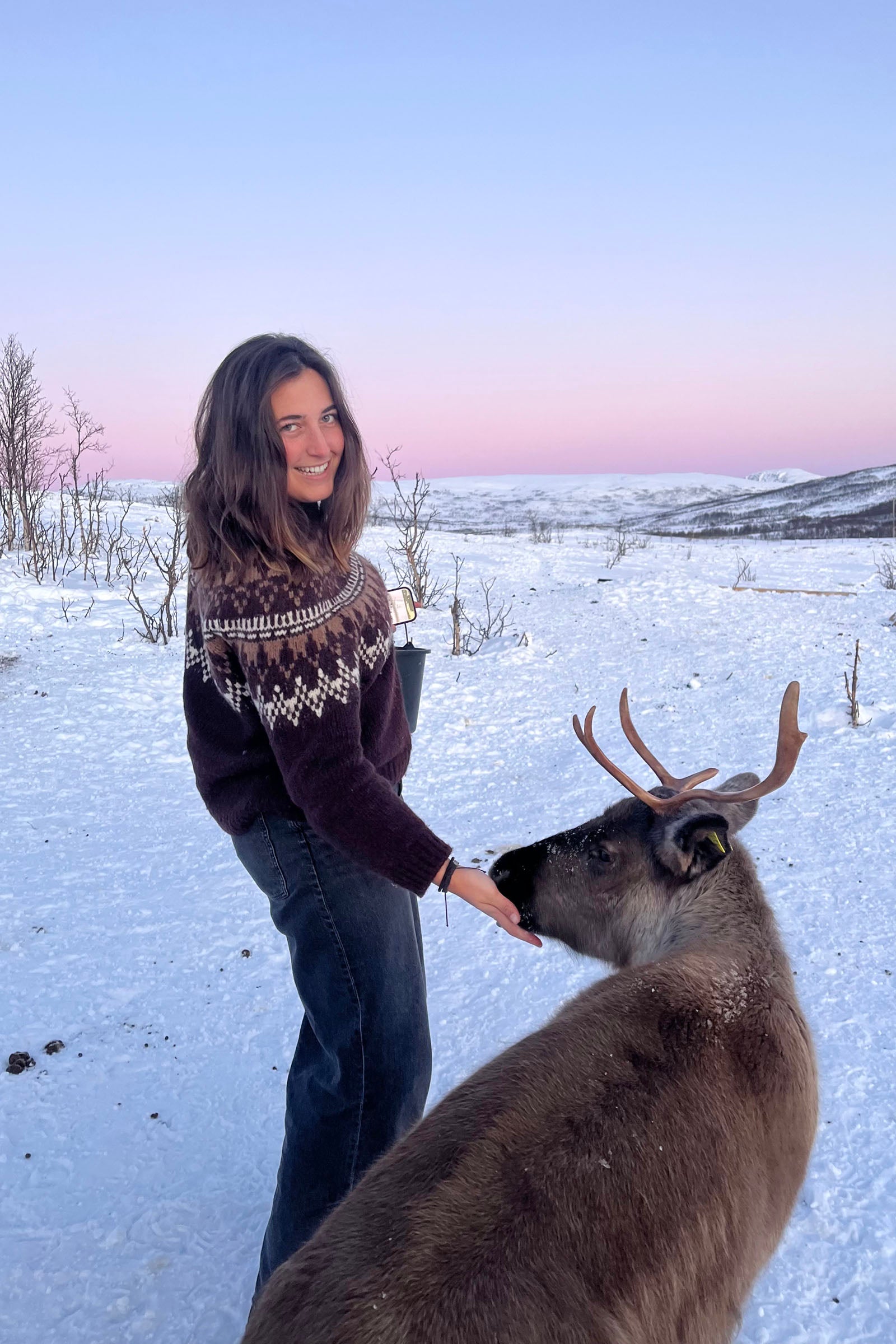 Maria Morrison pets an animal with horns.