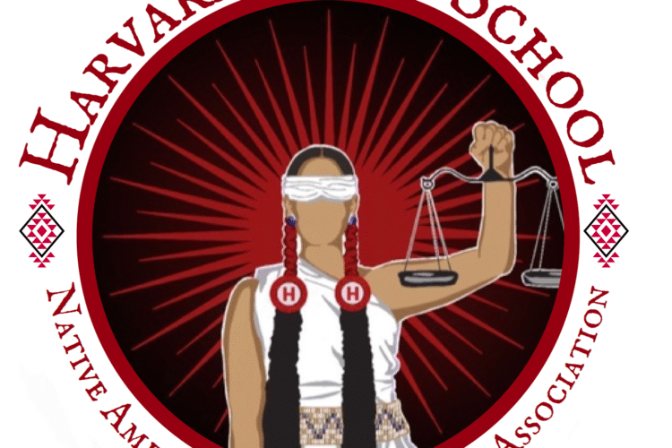 Image thumbnail for NALSA Spring Kickoff Meeting