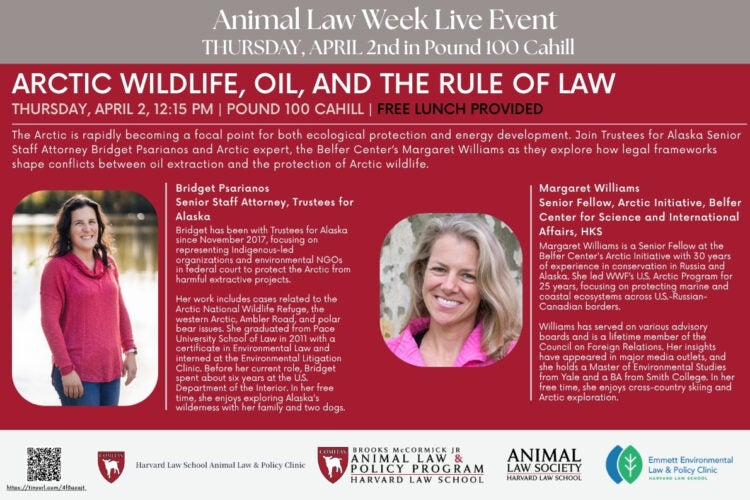 Image thumbnail for Arctic Wildlfe, Oil, and the Rule of Law