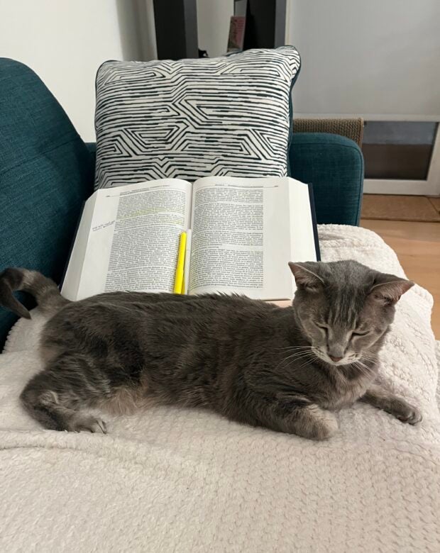 cat sitting in front of a text book.