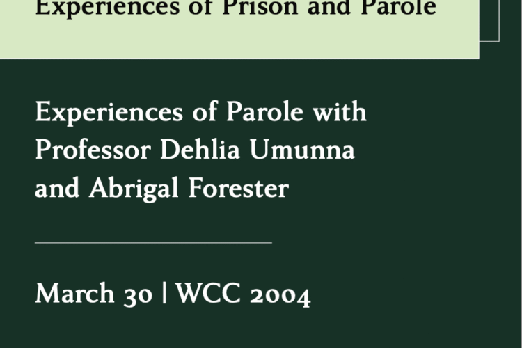 Image thumbnail for The Effects of Mass Incarceration: Experiences of Prison and Parole