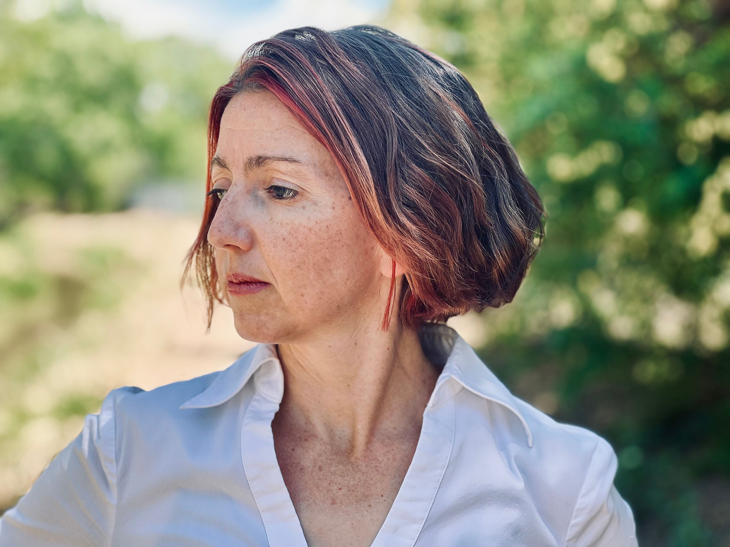 Featured image for From Harvard Law lawyer to fiction writer article