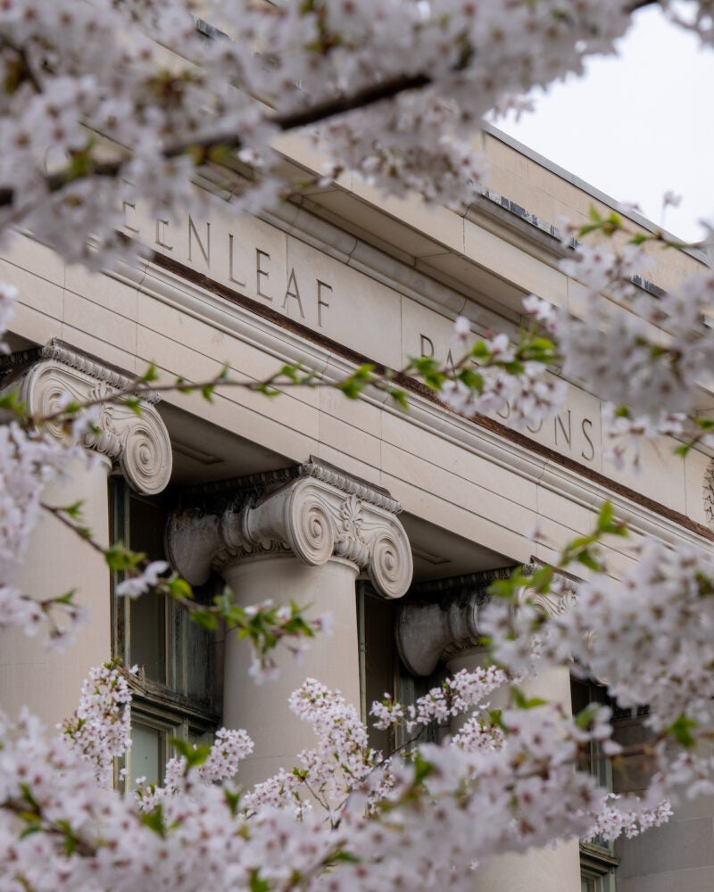 flowers around the top of Langdell Hall.