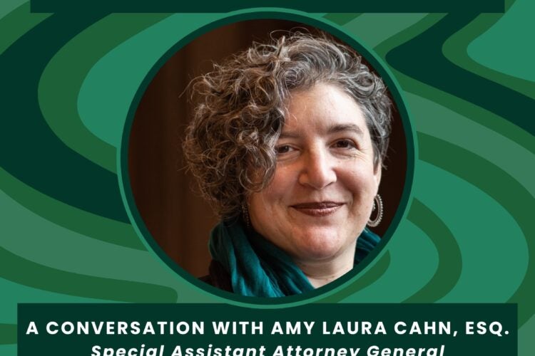 Image thumbnail for Lawyering for Environmental Justice