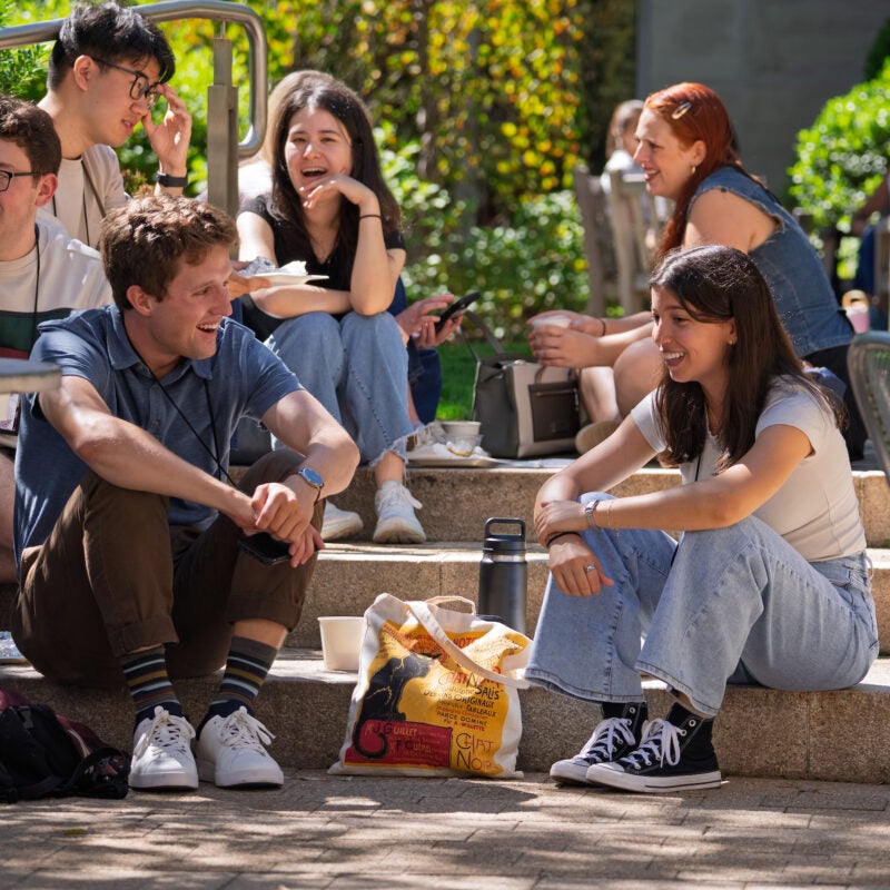 Six students, surrounded by greenery, sit on stairs and converse with each other in the sun.
