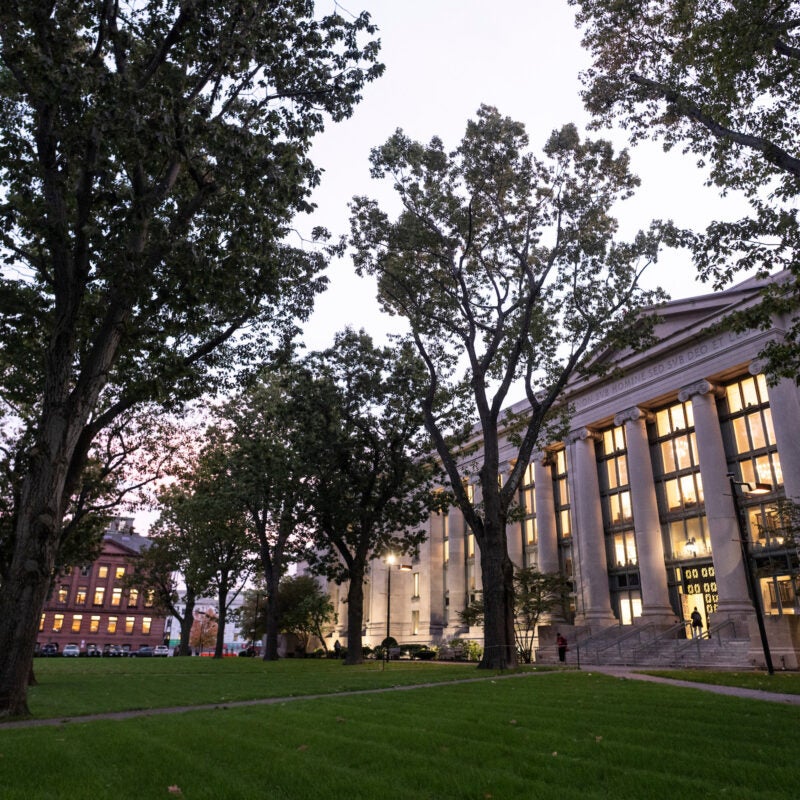 A building lit from within as it starts to get dark, surrounded by trees.