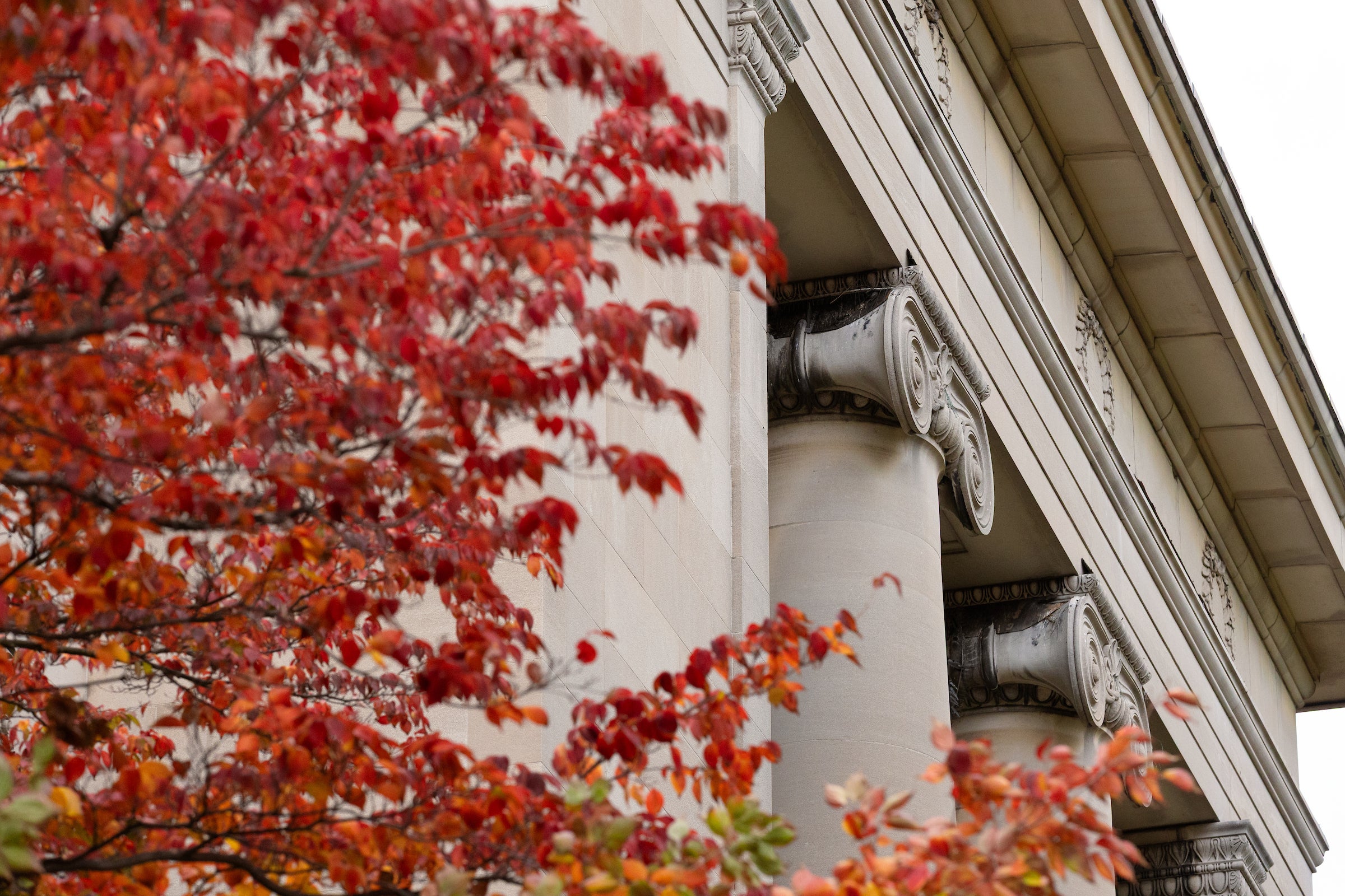 A stone building with columns behind orange fall leaves.