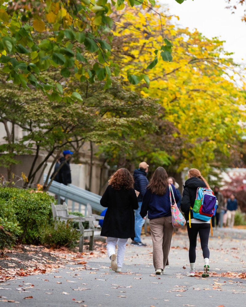 Three students walking in a fall landscape on campus.
