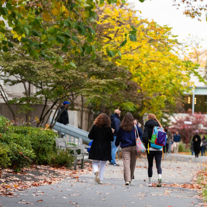 Three students walking in a fall landscape on campus.