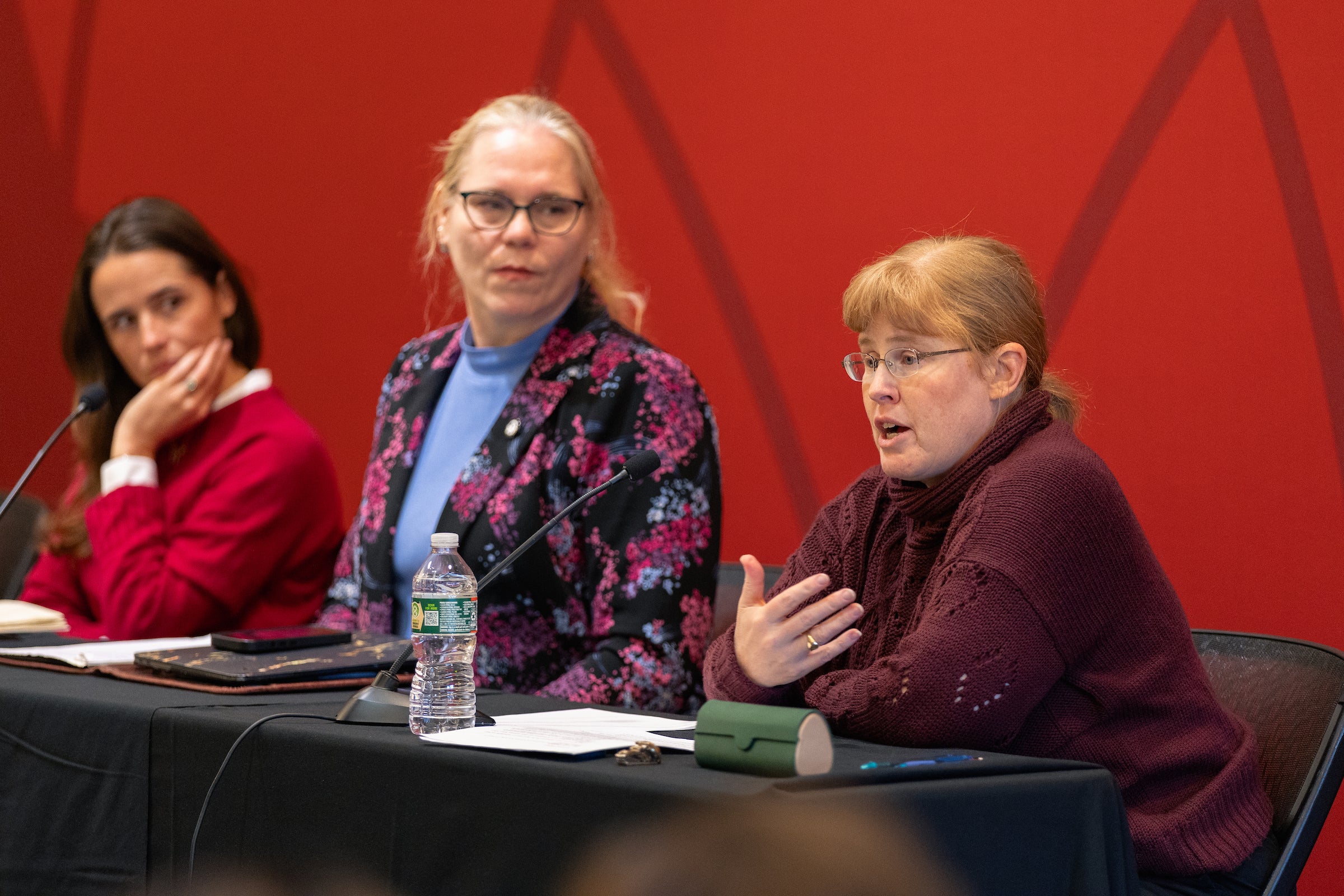 Bonnie Docherty speaks on a panel.