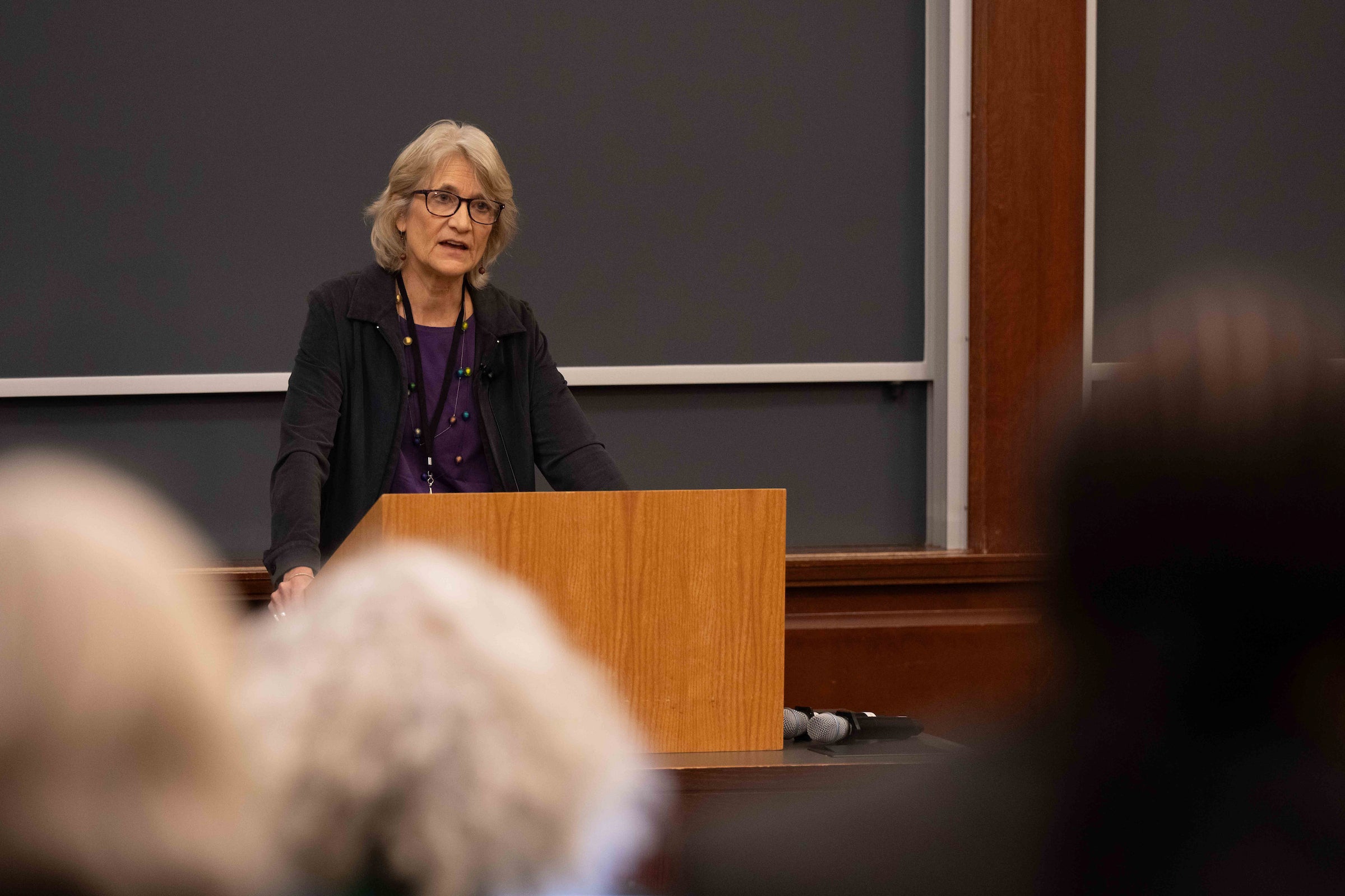 Professor Christine Desan speaks to a crowd from a podium.