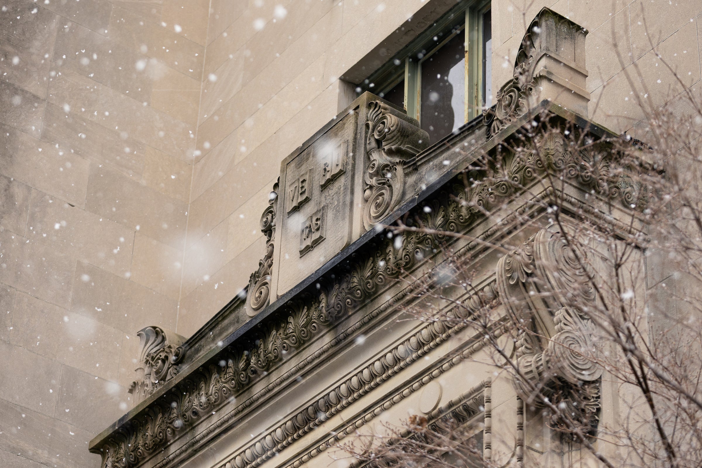 A closeup of architectural detail above a doorway with the Harvard shield in stone, with a few snowflakes falling down.