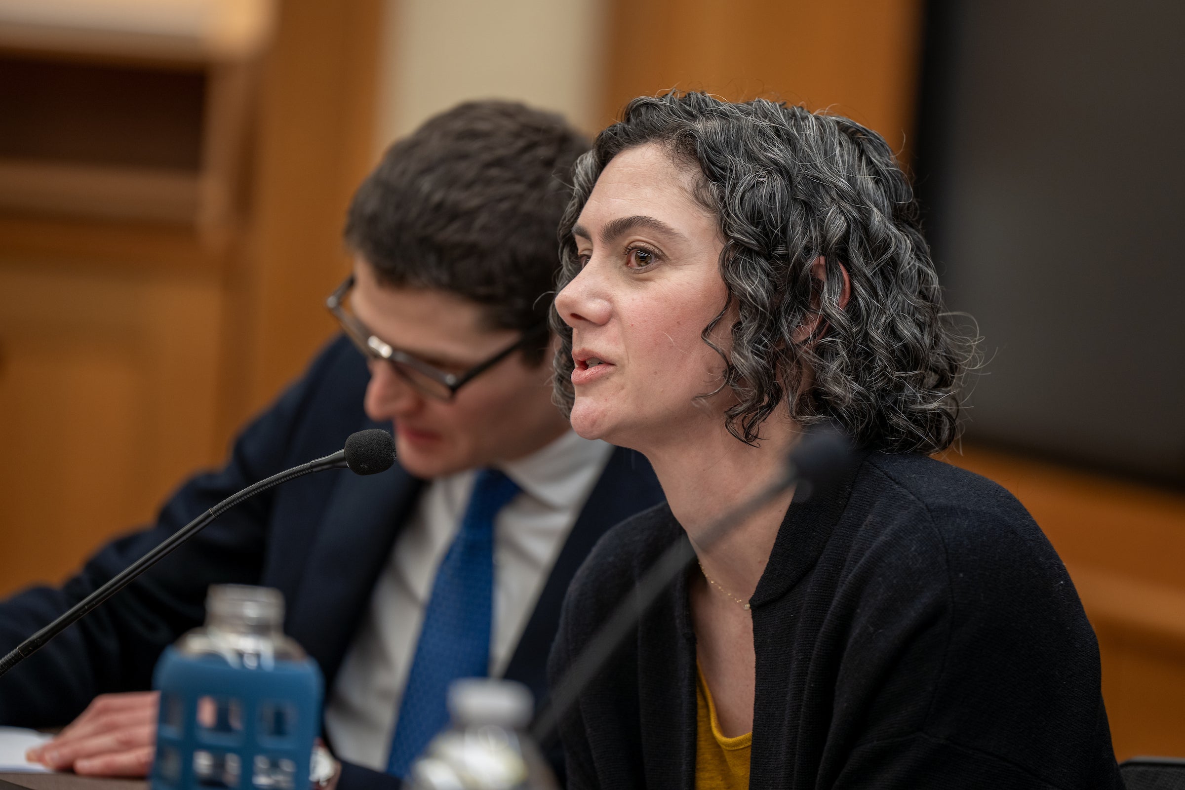 Professor Susan Farbstein sits on a panel and speaks to an audience.