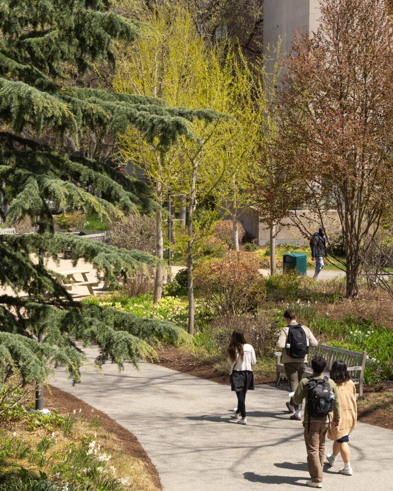 Several people walk along a paved path through a landscaped area with trees and shrubs, near a building.