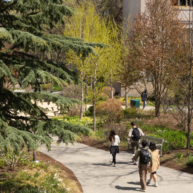Several people walk along a paved path through a landscaped area with trees and shrubs, near a building.