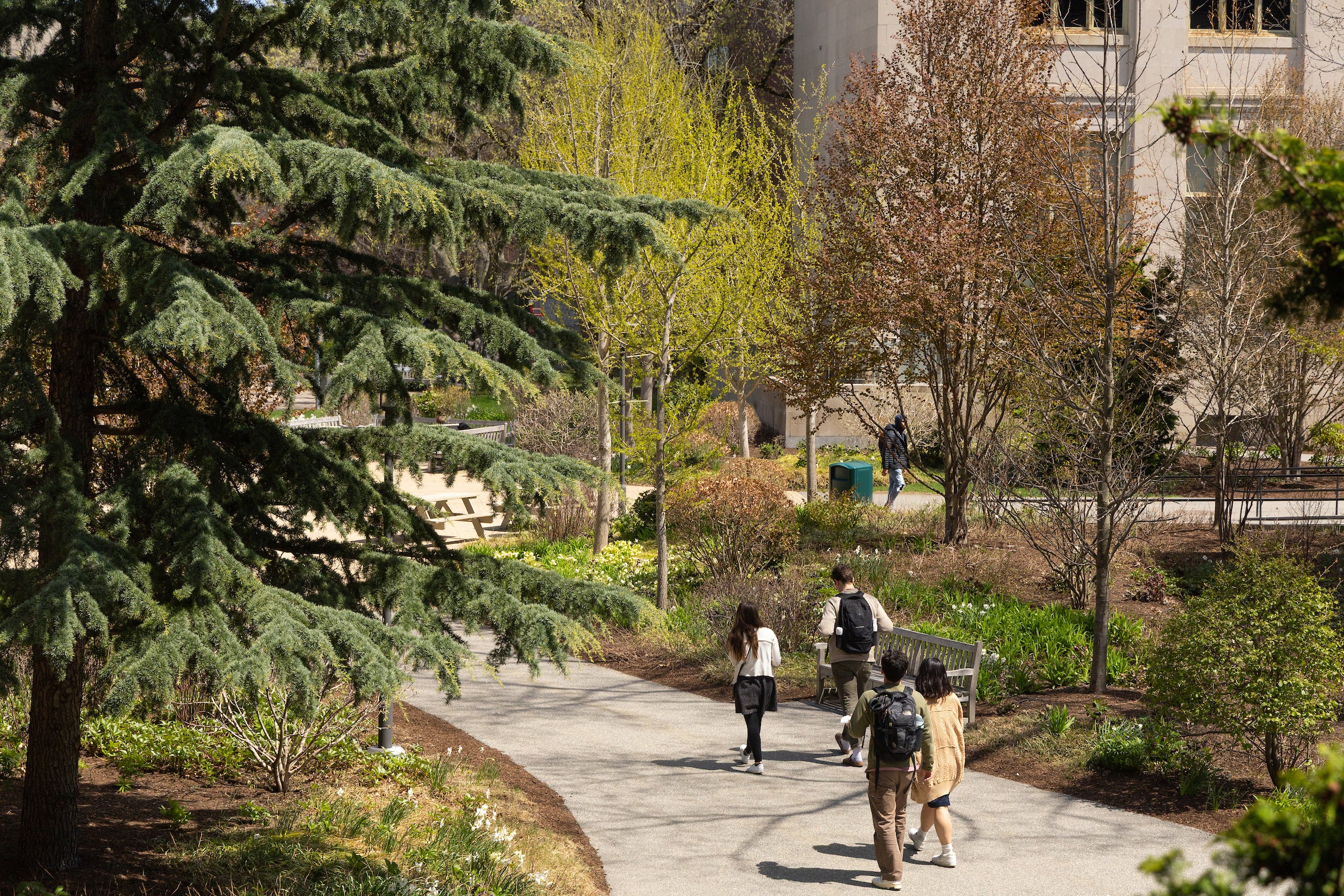 Several people walk along a paved path through a landscaped area with trees and shrubs, near a building.