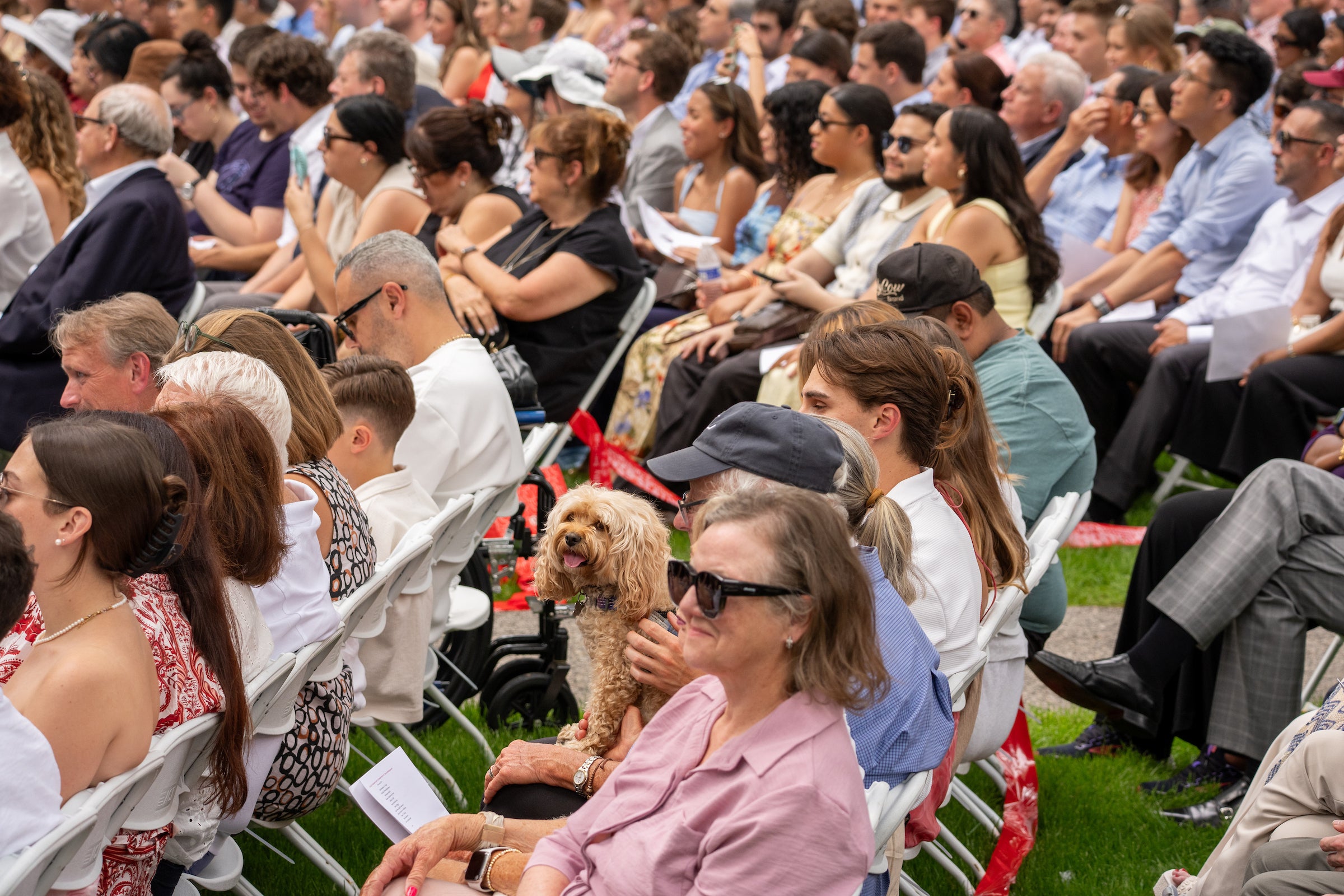 A diverse crowd seated in folding chairs at an outdoor event, with a small dog sitting on someone's lap.