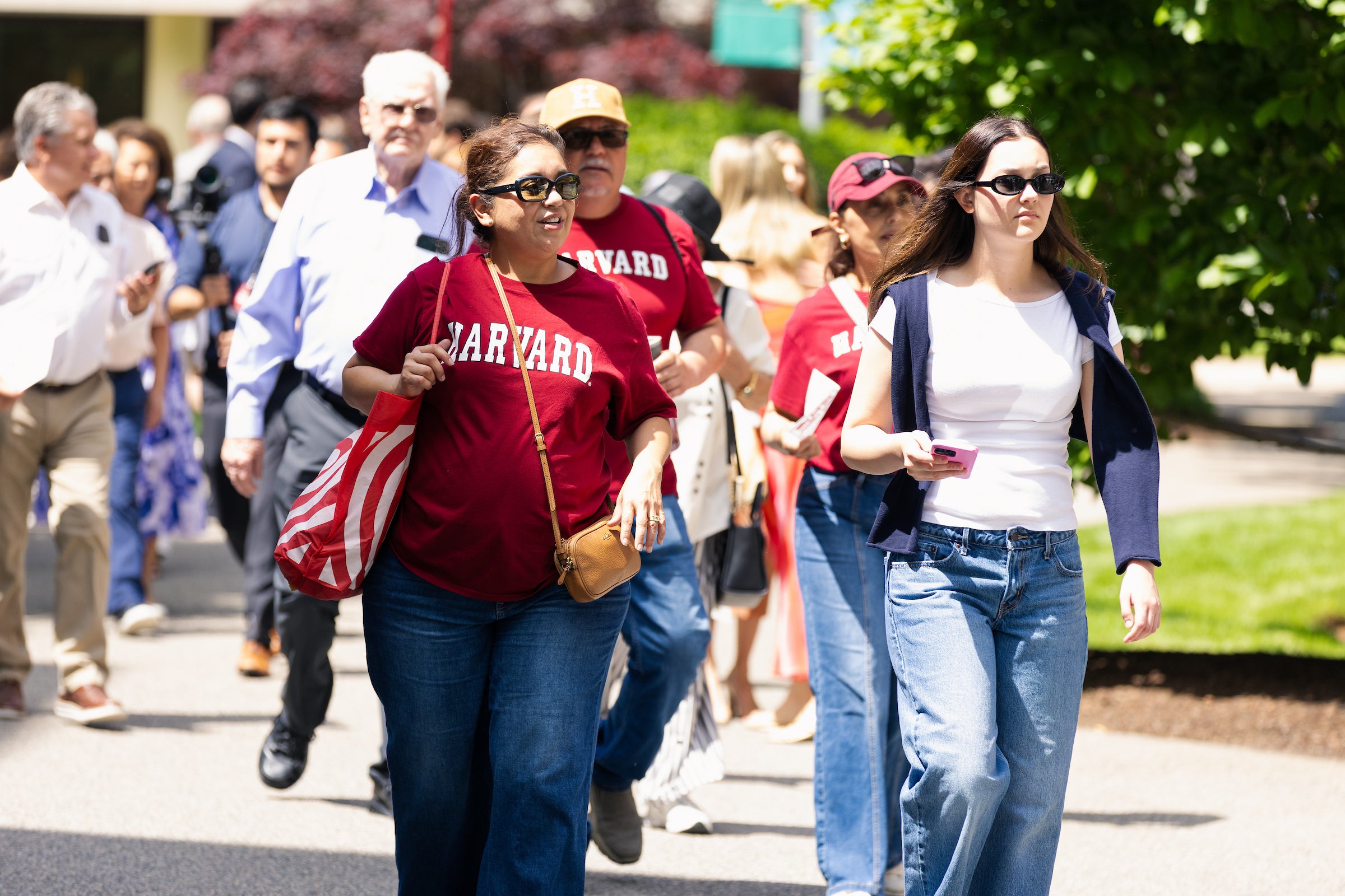 A group of people, including some wearing Harvard apparel, walk along a sunlit pathway on campus.
