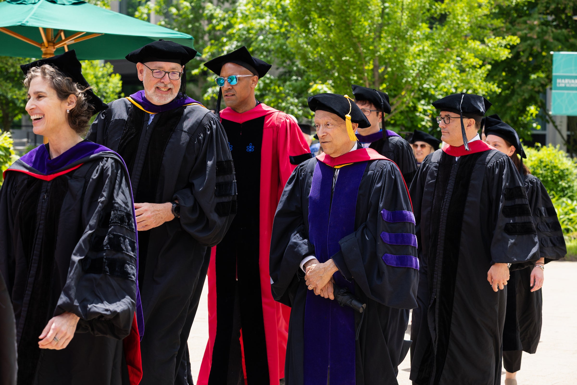 A group of Harvard Law professors in academic regalia walk outdoors during a commencement ceremony under bright sunlight.