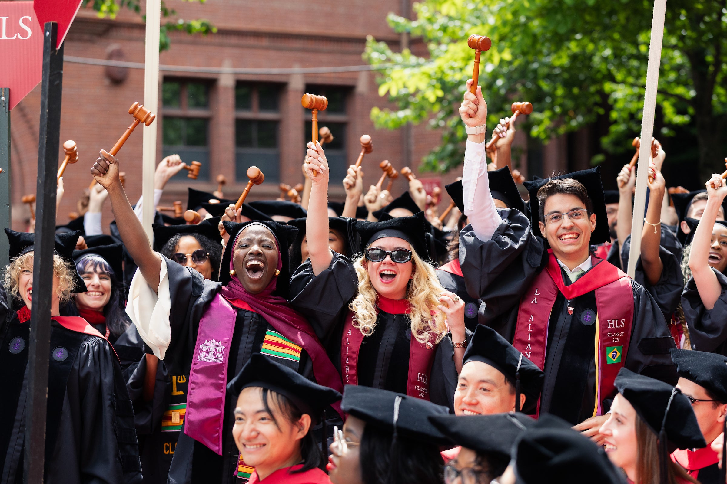 Harvard Law graduates in caps and gowns cheer while holding up their wooden gavels.