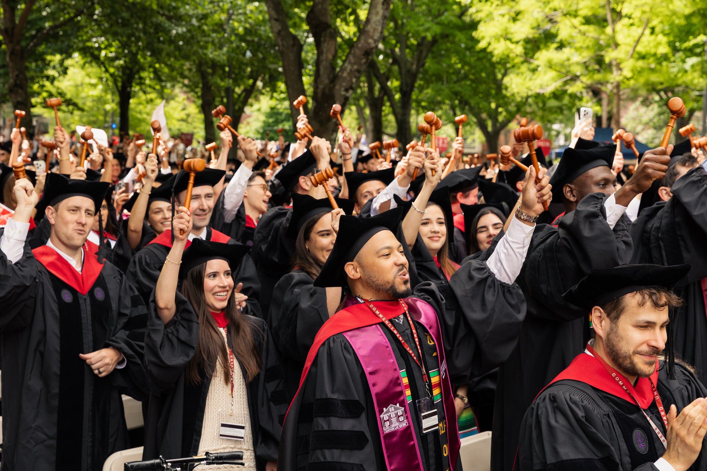 Harvard Law graduates in caps and gowns cheer while holding up their wooden gavels.