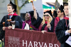Graduates in regalia cheer and celebrate while holding a Harvard Law School banner and waving gavels.