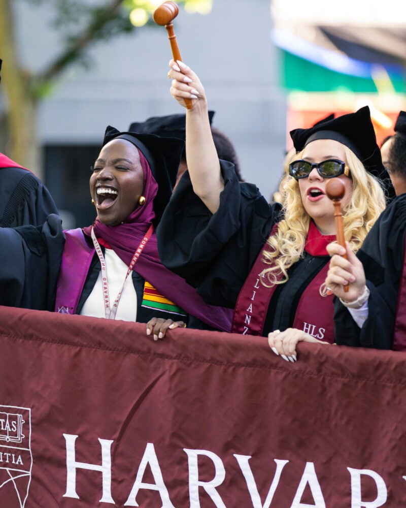 Graduates in regalia cheer and celebrate while holding a Harvard Law School banner and waving gavels.