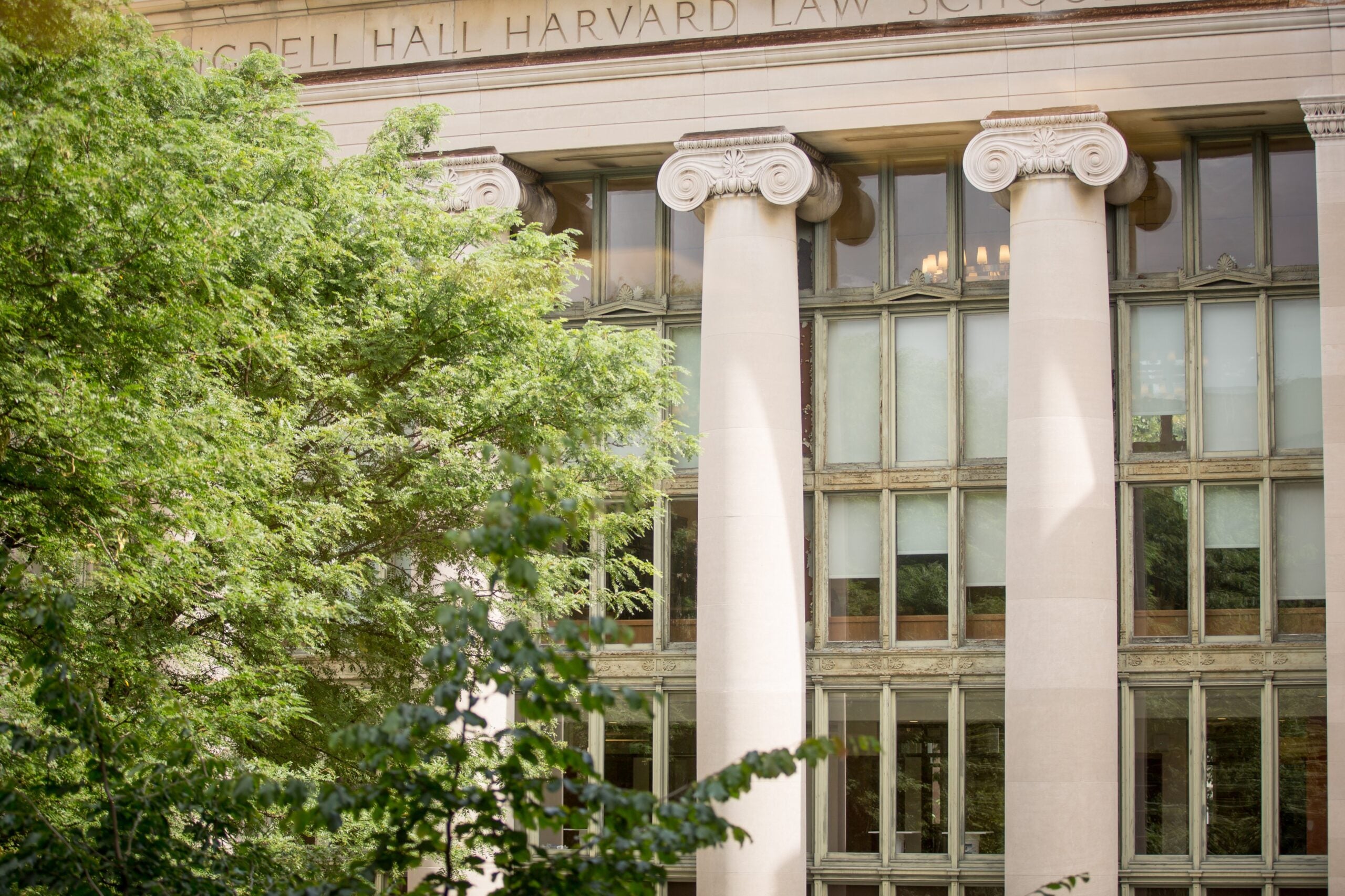 Featured image for 14 Harvard Law grads receive Skadden, Equal Justice Works fellowships article