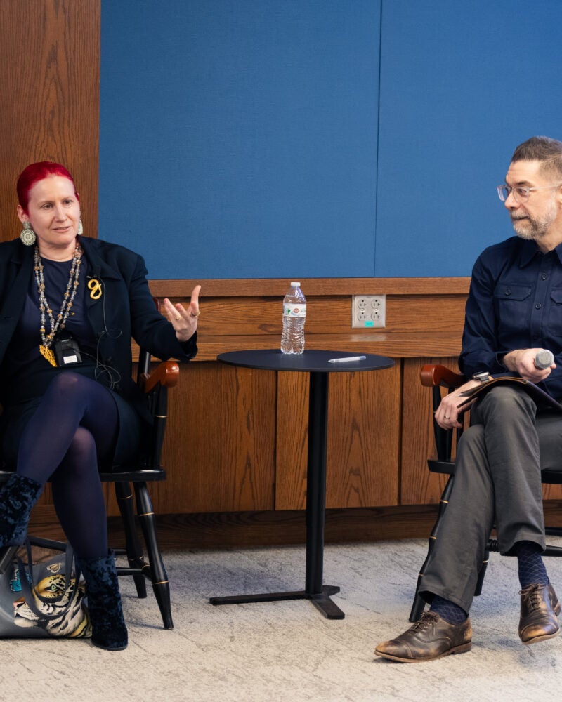 Rebecca Tushnet and Christopher Bavitz speaking on panel.