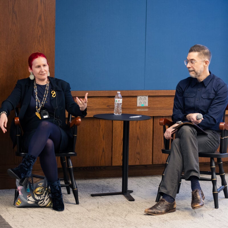 Rebecca Tushnet and Christopher Bavitz speaking on panel.
