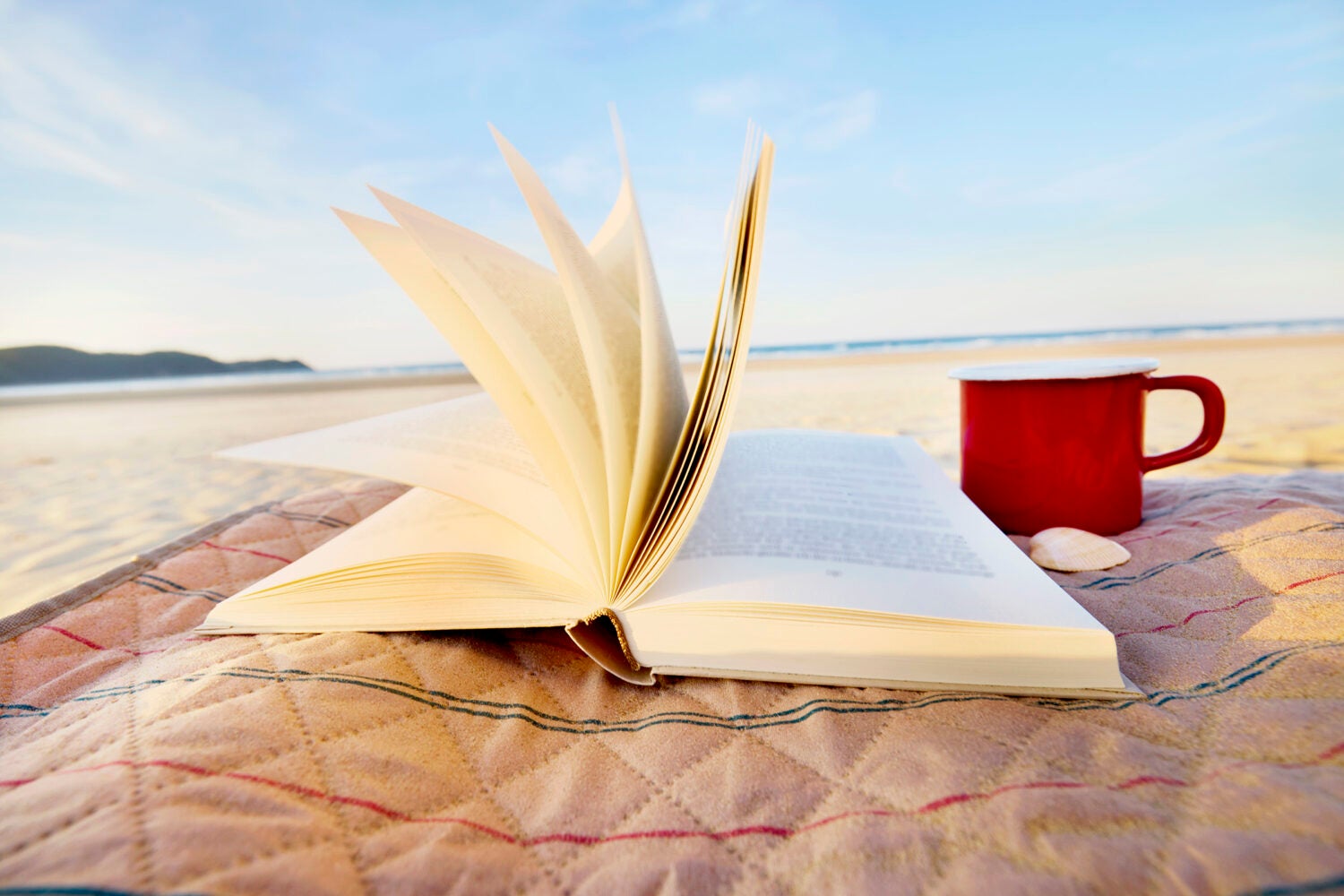 Book on a beach.