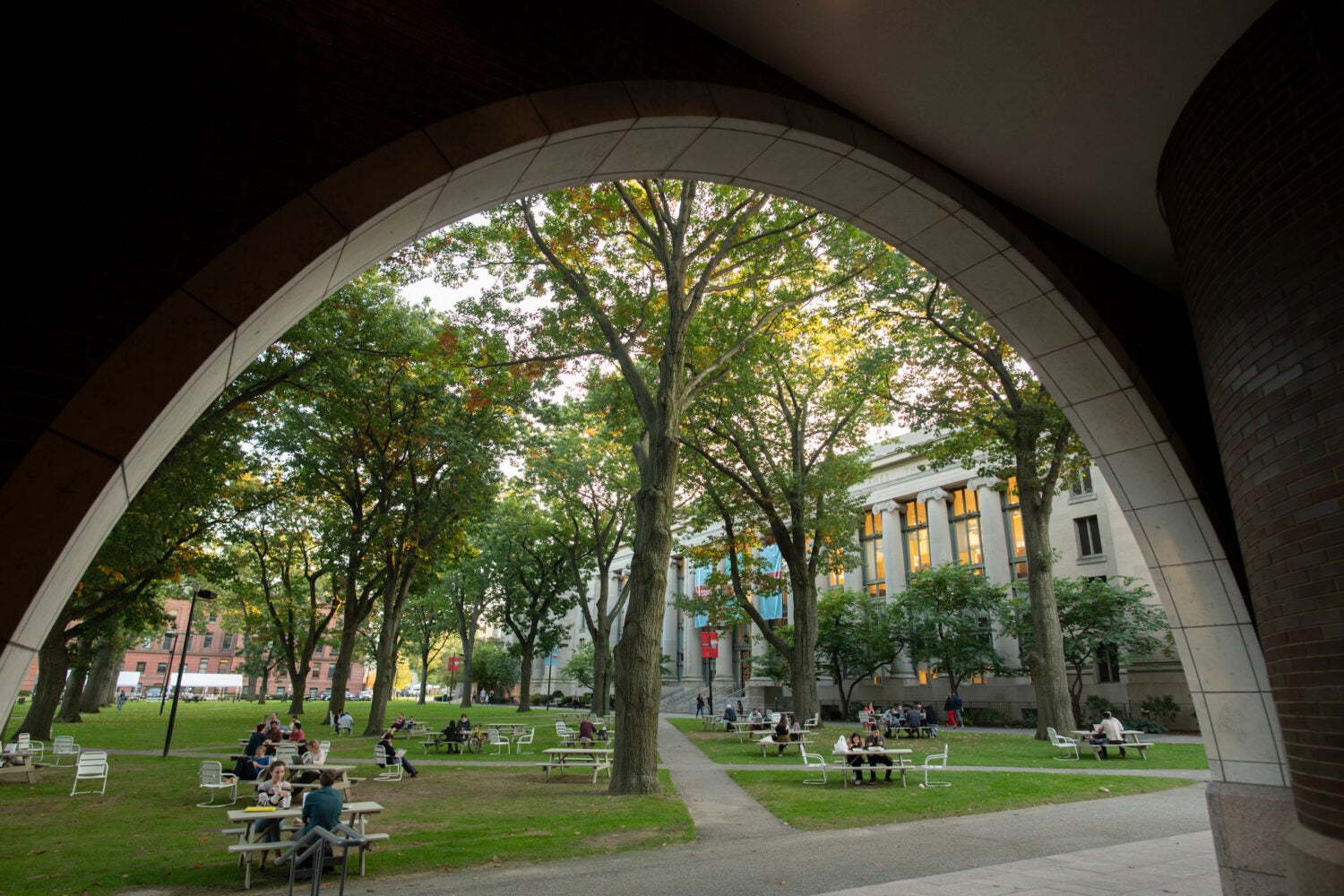 A view of a green space on campus through the arches of Hauser Hall.