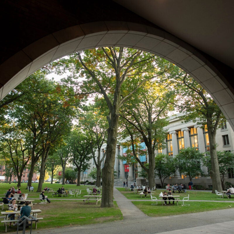 A view of a green space on campus through the arches of Hauser Hall.