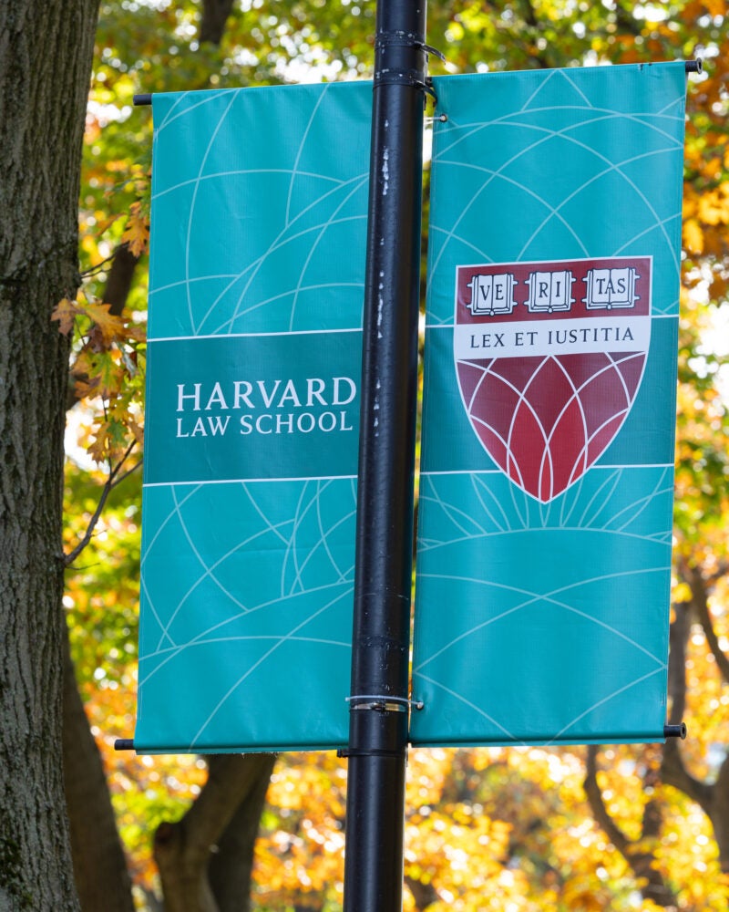 Harvard Law School shield on a banner amongst fall leaves.