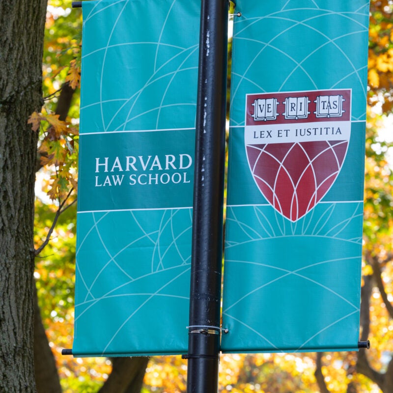 Harvard Law School shield on a banner amongst fall leaves.