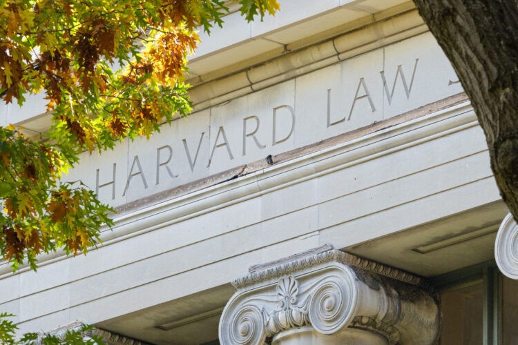 Fall scenes on the Harvard Law School campus. Photographed on October 29-31, 2024 by Martha Stewart.