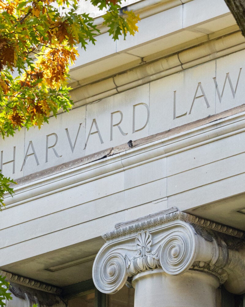 Fall scenes on the Harvard Law School campus. Photographed on October 29-31, 2024 by Martha Stewart.