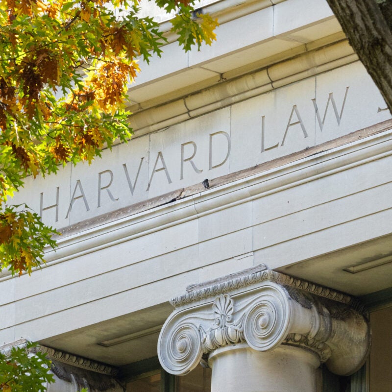 Fall scenes on the Harvard Law School campus. Photographed on October 29-31, 2024 by Martha Stewart.