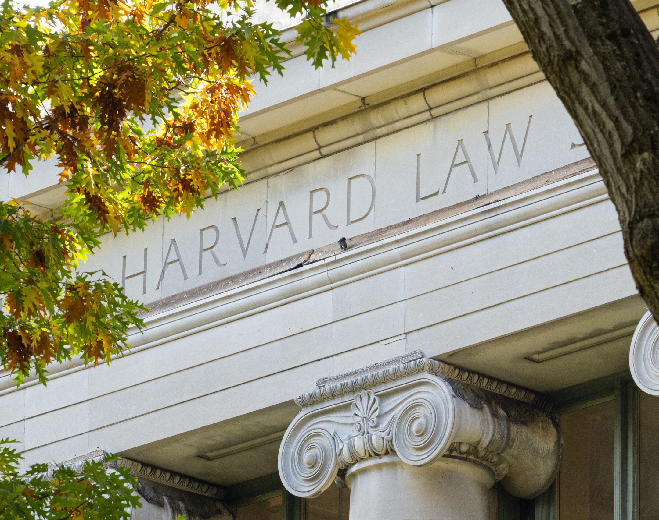 Fall scenes on the Harvard Law School campus. Photographed on October 29-31, 2024 by Martha Stewart.