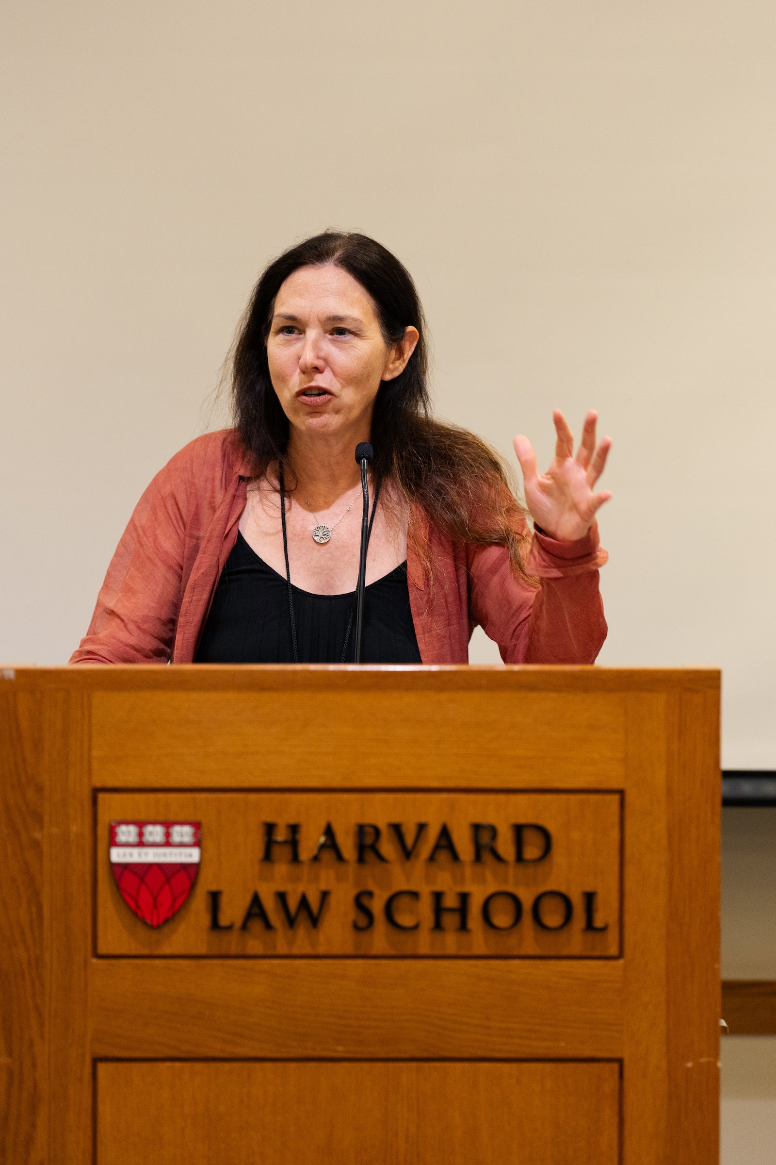 A professor speaks at a podium bearing the Harvard Law School logo.