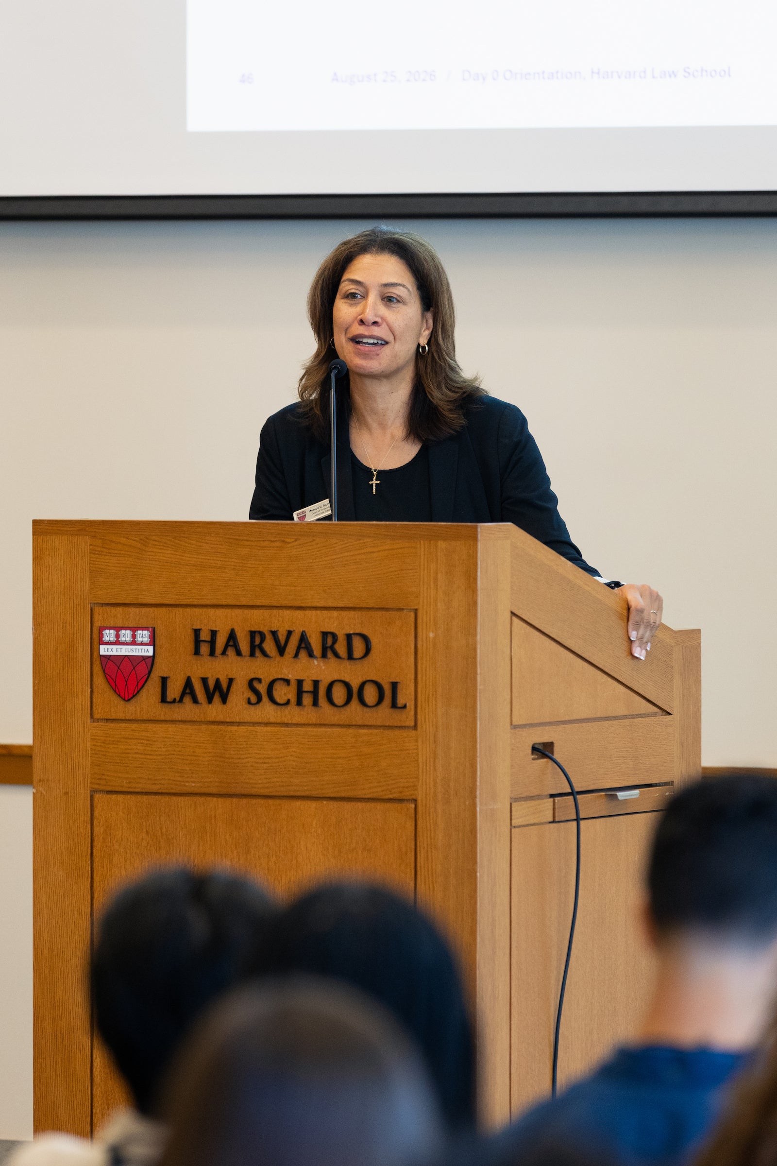 An individual speaks from a podium to an audience.