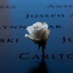 A flower placed at the September 11 Memorial and Museum in New York City.