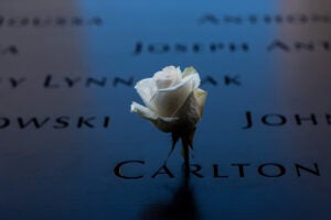 A flower placed at the September 11 Memorial and Museum in New York City.