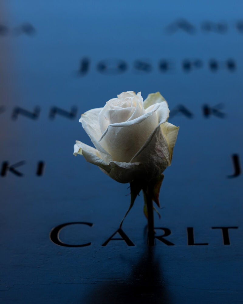 A flower placed at the September 11 Memorial and Museum in New York City.