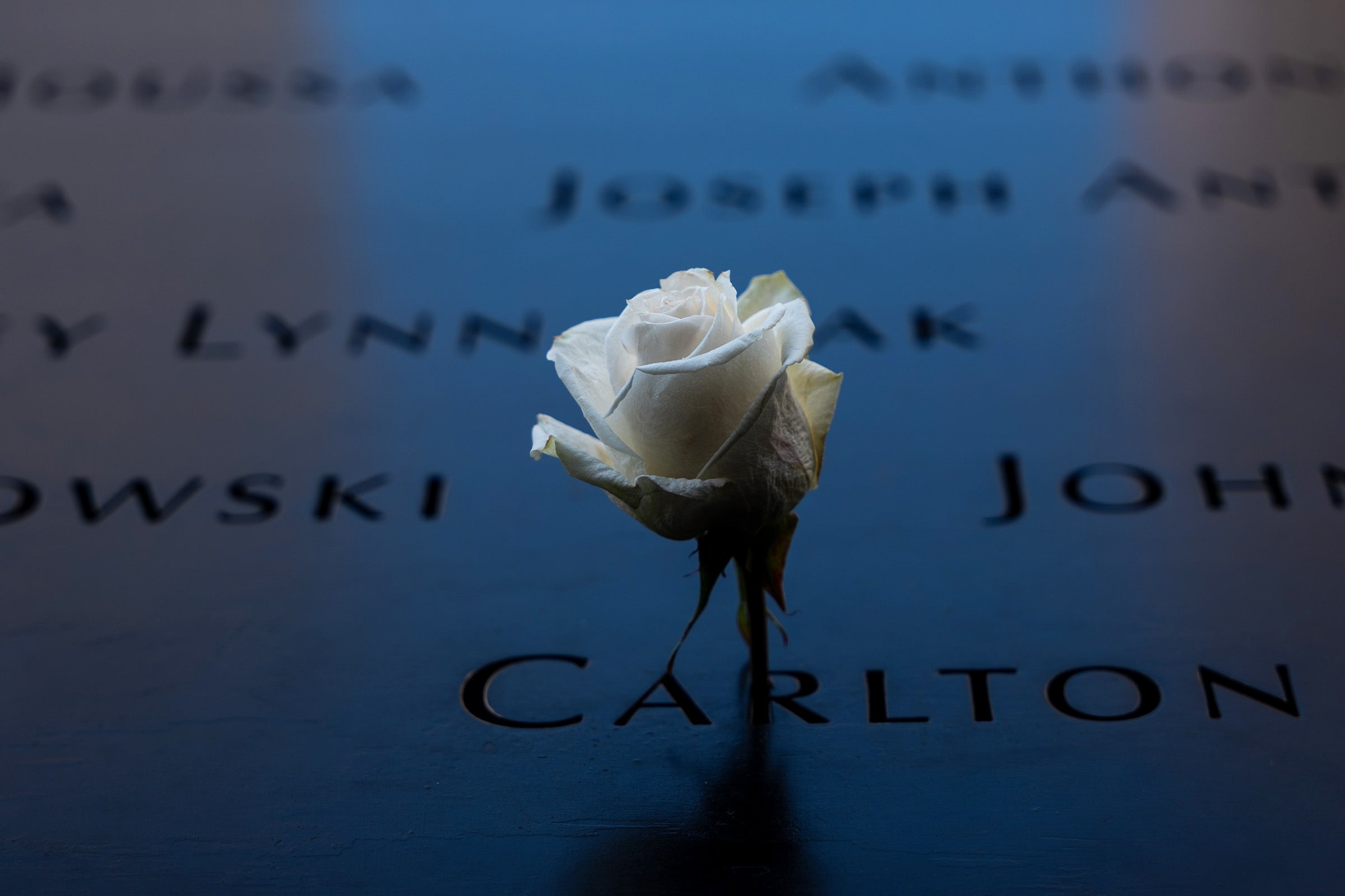 Featured image for Commemorating 25 years: The Harvard Law community reflects on 9/11 article