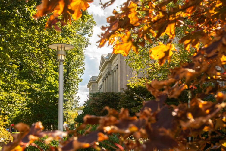 Langdell Hall surrounded by fall foliage and colors.