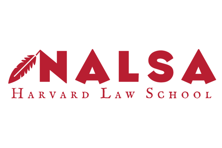 Image thumbnail for NALSA General Body Meeting