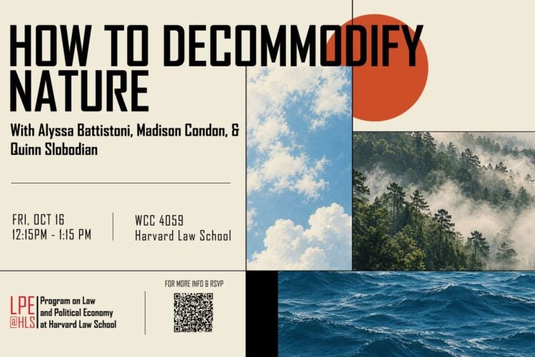 Image thumbnail for How to Decommodify Nature