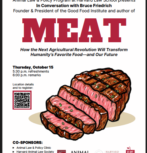 Image thumbnail for In Conversation with Bruce Friedrich