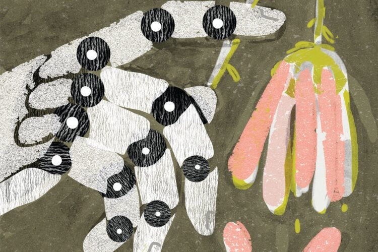 Illustration. A robot hand holding a wilting flower.